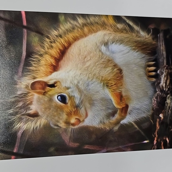 4x6 Squirrel Photography Cute Squirrel Oil Painting Print - Picture 2 of 4